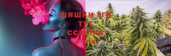 PSILOCYBIN Армянск