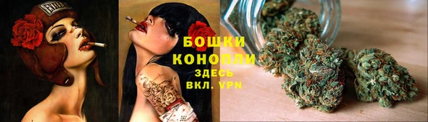 PSILOCYBIN Армянск