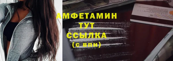 стаф Арсеньев