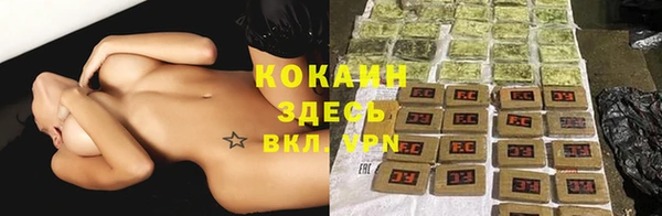 PSILOCYBIN Армянск