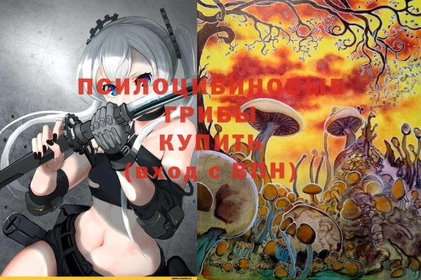 PSILOCYBIN Армянск