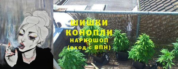 стаф Арсеньев