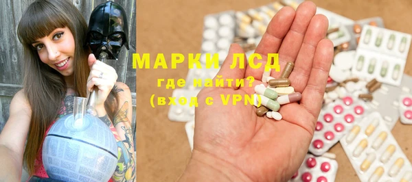 PSILOCYBIN Армянск