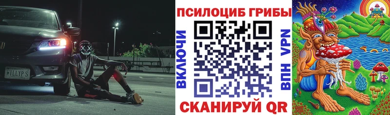 KRAKEN как войти Свирск Псилоцибиновые грибы ЛСД